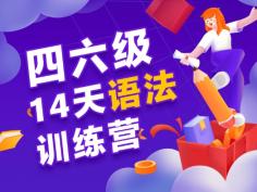 四六级14天语法训练营,